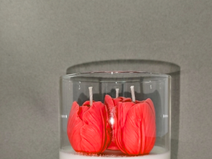 Bocal 3 tulipes